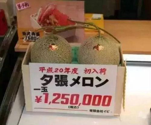 娱乐吃瓜小号,吃瓜小号带你探秘明星幕后故事